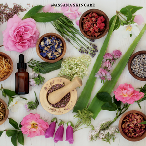 Herbs for skincare