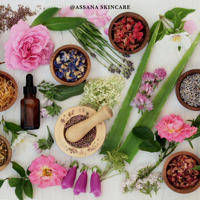 The Power of Herbs: How Moms Can Use Nature’s Bounty for Radiant Skin